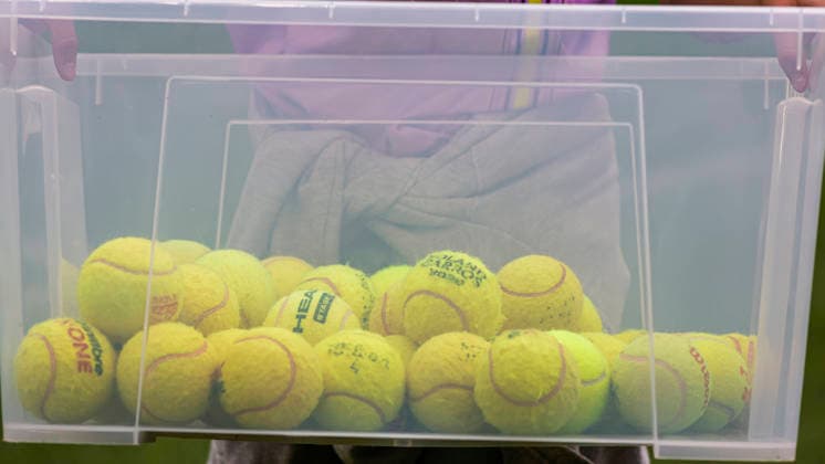 Im Bild: Fans werfen aus Protest Tennisbaelle auf das Spielfeld, im Eimer befinden sich die aufgesammelten Tennisbaelle. 24.08.2026, FC Wuerzburger Kickers - 1. FC Koeln, DFB-Pokal, 1. Runde, Deutschland, Wuerzburg, AKON-Arena, DFL REGULATIONS PROHIBIT ANY USE OF PHOTOGRAPHS AS IMAGE SEQUENCES AND OR QUASI-VIDEO. *** In the photo, fans are throwing tennis balls onto the field in protest; the collected tennis balls are in the bucket. August 24, 2026, FC Würzburger Kickers vs. FC Köln, DFB Cup, 1st Round, Germany, Würzburg, AKON Arena, DFL regulations prohibit any use of photographs as image sequences and or quasi-video Copyright: HMBxMedia xJulienxBecker