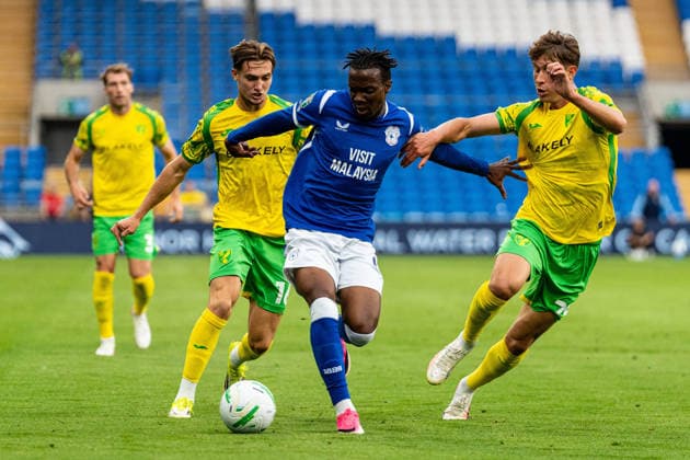 Football, England, League Cup, Cardiff City v Norwich City