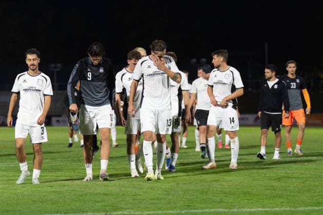August 28, 2026, xhfmx, Regional League Southwest Soccer, SG Barockstadt Fulda Lehnerz vs. FSV Frankfurt The FSV Frankfurt players head toward the Fulda fans