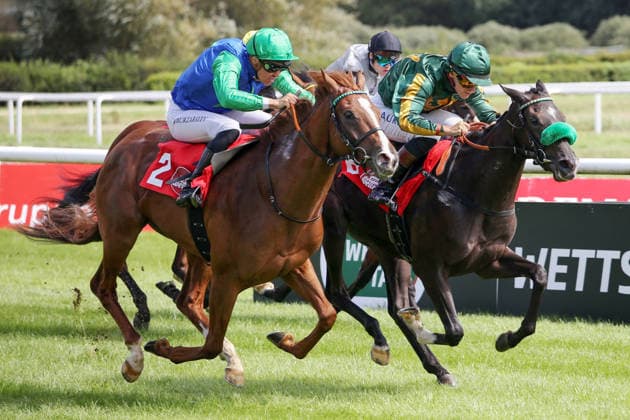 29.08.2026, Iffezheim, Baden-Wuerttemberg, GER - Gipsy Princess (rechts) mit Thore Hammer-Hansen gewinnt. Galopprennbahn Baden-Baden, Iffezheim. (Pferd, Jockey, Gipsy Princess, Hammer-Hansen, Sieg, Ziel, Zielankunft) 260829B910IFFEZHEIM.JPG *** August 29, 2026, Iffezheim, Baden-Württemberg, GER: Gipsy Princess (right), ridden by Thore Hammer Hansen, wins at the Baden-Baden Racetrack in Iffezheim. Horse, jockey, Gipsy Princess, Hammer Hansen, Victory, Finish, Finish Line 260829B910IFFEZHEIM JPG