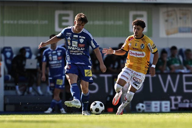 Football, Austria, TSV Hartberg v SV Ried