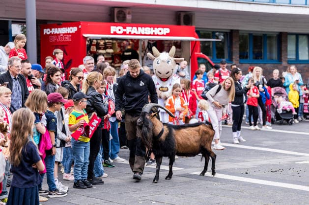 FC Cologne Zoo Day, September 1, 2026, Cologne, Germany September 1: Zookeeper Tim and Hennes IX the billy goat greet young fans during FC Cologne Zoo Day on September 1, 2026, at the Cologne Zoo in Cologne Copyright: xBEAUTIFULxSPORTS Wunderlx