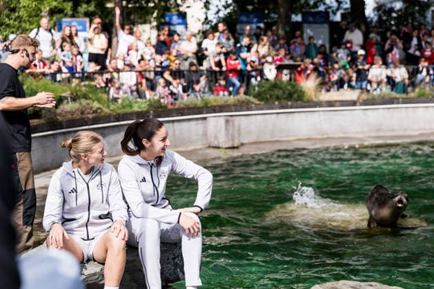FC Cologne Zoo Day, September 1, 2026, Cologne, GERMANY SEPTEMBER 1 Anna Lena Stolze (1 FC Cologne, 7) and Laureta Elmazi (1 FC Cologne, 26) during the sea lion show at the FC Cologne Zoo Day on September 1, 2026, at the Cologne Zoo, Cologne Copyright: xBEAUTIFULxSPORTS Wunderlx