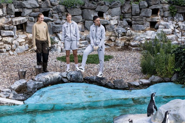 FC Cologne Zoo Day, September 1, 2026, Cologne, GERMANY SEPTEMBER 1 Laureta Elmazi 1 FC Cologne, 26, and Anna Lena Stolze 1 FC Cologne, 7, feed the penguins during FC Cologne Zoo Day on September 1, 2026, at the Cologne Zoo, Cologne Copyright: xBEAUTIFULxSPORTS Wunderlx