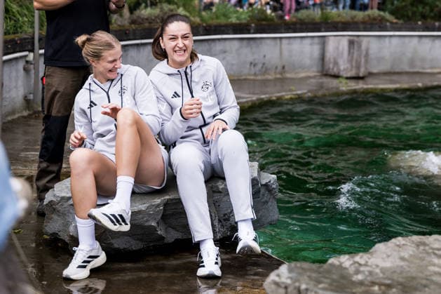 FC Cologne Zoo Day, September 1, 2026, Cologne, GERMANY SEPTEMBER 1 Anna Lena Stolze (1 FC Cologne, 7) and Laureta Elmazi (1 FC Cologne, 26) during the sea lion show at the FC Cologne Zoo Day on September 1, 2026, at the Cologne Zoo, Cologne Copyright: xBEAUTIFULxSPORTS Wunderlx