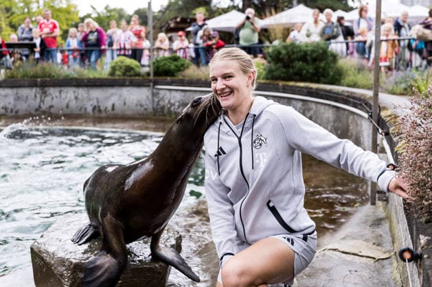 FC Cologne Zoo Day, September 1, 2026, Cologne, GERMANY SEPTEMBER 1 Anna Lena Stolze, 7, gets a kiss during the sea lion show at the FC Cologne Zoo Day on September 1, 2026, at the Cologne Zoo, Cologne Copyright: xBEAUTIFULxSPORTS Wunderlx
