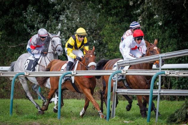 this picture shows the Waregem Koerse, Grote Steeple Chase van Vlaanderen (Great Steeple Chase of Flanders) horse race, at the Gaverbeek Hippodrome in Waregem, Tuesday 1 September 2026. KURTxDESPLENTER  x184922583x
