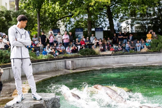 FC Köln Zootag; 01.09.2026 KÖLN, DEUTSCHLAND - SEPTEMBER 01: Seelöwen Show mit Jahmai Simpson-Pusey (1. FC Koeln, 22) während dem FC Zootag am 01. September 2026 im Kölner Zoo, Köln. *** FC Cologne Zoo Day, September 1, 2026, Cologne, Germany: Sea Lion Show with Jahmai Simpson Pusey 1 FC Cologne, 22, during the FC Zoo Day on September 1, 2026, at the Cologne Zoo, Cologne Copyright: xBEAUTIFULxSPORTS Wunderlx