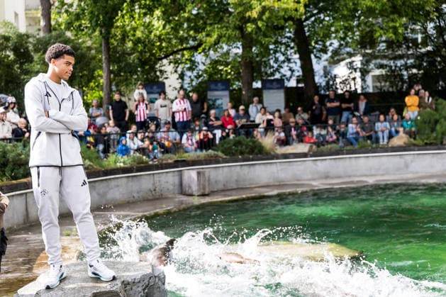 FC Köln Zootag; 01.09.2026 KÖLN, DEUTSCHLAND - SEPTEMBER 01: Seelöwen Show mit Jahmai Simpson-Pusey (1. FC Koeln, 22) während dem FC Zootag am 01. September 2026 im Kölner Zoo, Köln. *** FC Cologne Zoo Day, September 1, 2026, Cologne, Germany: Sea Lion Show with Jahmai Simpson Pusey 1 FC Cologne, 22, during the FC Zoo Day on September 1, 2026, at the Cologne Zoo, Cologne Copyright: xBEAUTIFULxSPORTS Wunderlx