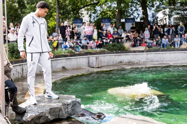 FC Köln Zootag; 01.09.2026 KÖLN, DEUTSCHLAND - SEPTEMBER 01: Seelöwen Show mit Jahmai Simpson-Pusey (1. FC Koeln, 22) während dem FC Zootag am 01. September 2026 im Kölner Zoo, Köln. *** FC Cologne Zoo Day, September 1, 2026, Cologne, Germany: Sea Lion Show with Jahmai Simpson Pusey 1 FC Cologne, 22, during the FC Zoo Day on September 1, 2026, at the Cologne Zoo, Cologne Copyright: xBEAUTIFULxSPORTS Wunderlx