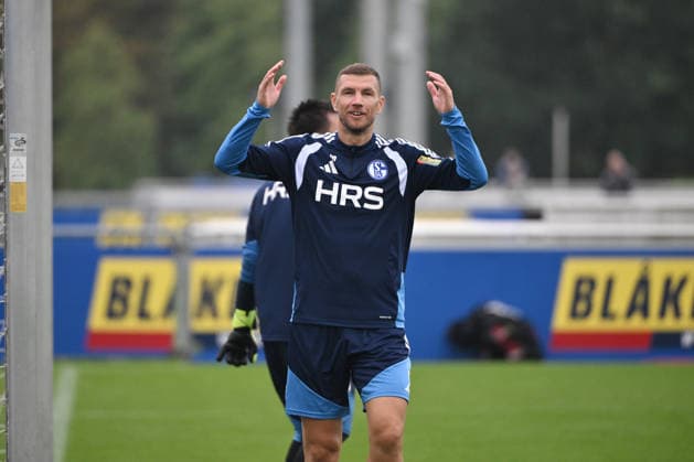 Edin Dzeko (FC Schalke 04) 03.09.2026, Fussball 1. Bundesliga, Saison 2026 2027, Training FC Schalke 04 Gelsenkirchen Trainingsgelände Nordrhein Westfalen Deutschland *** Edin Dzeko, FC Schalke 04, September 9, 2026; Soccer, Bundesliga 1, 2026–2027 season; FC Schalke 04 training session in Gelsenkirchen, North Rhine-Westphalia, Germany Team2