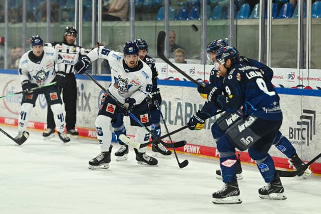 Darren Mieszkowski (EC Kassel Huskies, 66) Dresdner Eisloewen vs. EC Kassel Huskies, Testspiel 2. Eishockey Bundesliga Herren, Spielzeit 2026 2027, 06.09.2026 Dresdner Eisloewen vs. EC Kassel Huskies, Testspiel 2. Eishockey Bundesliga Herren, Spielzeit 2026 2027, 06.09.2026 Dresden *** Darren Mieszkowski, EC Kassel Huskies, 66 Dresdner Eisloewen vs. EC Kassel Huskies, Exhibition Game 2, Men s Ice Hockey Bundesliga, 2026–2027 Season, September 6, 2026, Dresdner Eisloewen vs. EC Kassel Huskies, Exhibition Game 2, Men’s Ice Hockey Bundesliga, 2026–2027 season, September 6, 2026, Dresden Copyright: xEibner-Pressefoto xHoepnerx EP_PHR