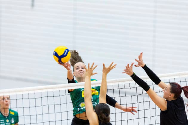 Friendly Match: Schwarz Weiss Erfurt vs. VfB Suhl LOTTO Thüringen, Erfurt, September 11, 2026; Laura Berger, 11, VfB Suhl LOTTO Thüringen, against Isabel Petra KovaÄ u008Dić 11 Schwarz Weiss Erfurt (right) and Alix de Micheli 15 Schwarz Weiss Erfurt Friendly Match: Schwarz Weiss Erfurt vs. VfB Suhl LOTTO Thüringen, Riethsporthalle, Erfurt, September 11, 2026 Copyright: xBEAUTIFULxSPORTS Duehringx