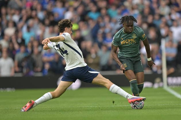 Football, England, Tottenham Hotspur v Everton FC