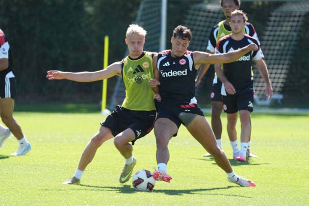 Football, Bundesliga 1, Eintracht Frankfurt, Training