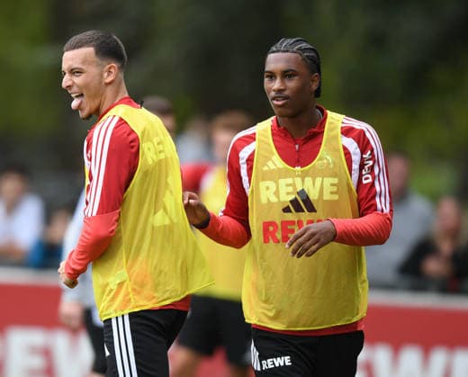Football, Bundesliga 1, 1. FC Köln, Training