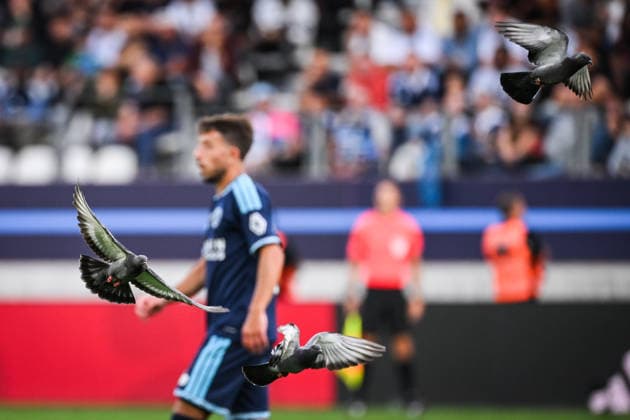 September 19, 2026, Paris, France, France: Pigeons fly in front of players during the Ligue 1 match between Paris FC and RC Strasbourg at Jean-Bouin Stadium on September 19, 2026 in Paris, France. Paris FC V Racing Club De Strasbourg - Ligue 1  - ZUMAm308 20260919_zsp_m308_048 Copyright: xMatthieuxMirvillex