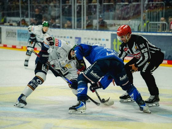 September 20, 2026, xwppx, Penny DEL Ice Hockey, Adler Mannheim vs. Eisbären Berlin, from left: Faceoff with Liam Kirk, Eisbären Berlin