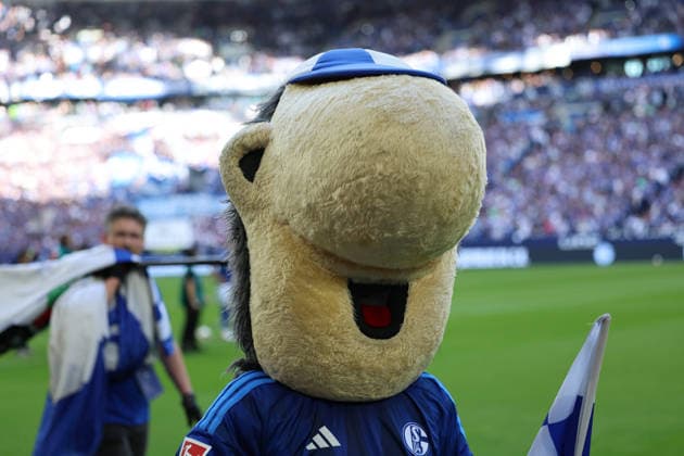 Gelsenkirchen, Germany, September 20, 2026, 1. Bundesliga 2026–2027, Matchday 4: FC Schalke 04 vs. SV Elversberg. Pictured: Erwin, the mascot. DFB and DFL regulations prohibit any use of photographs as image sequences and or quasi-video. Veltins Arena, North Rhine-Westphalia Copyright: xFotostandx xFWMEDIAx