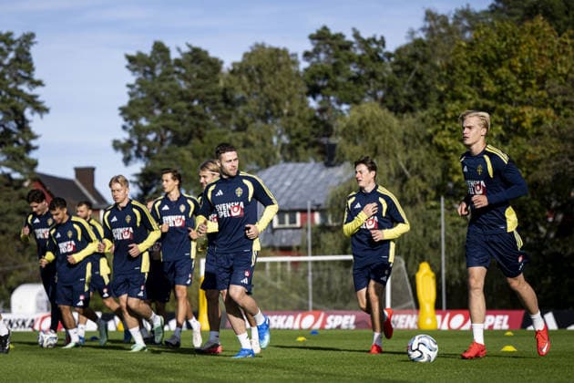 STOCKHOLM, SWEDEN - SEPTEMBER 27: Lucas Bergvall of Sweden during the training session on Bosön ahead of the Nations league soccer game between Sweden and Poland on Strawberry Arena in Stockholm, Sweden on September 27. Copyright: xPhilipxKangasx xSPPx Sportspressphoto_SPR241272