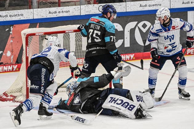 Penny DEL 26 27 Penny DEL Ingolstadt vs. Adler Mannheim Ingolstadt, September 27, 2026 Matthias Plachta of Adler Mannheim, 22, scores the tying goal to make it 2–2 Ingolstadt September 27, 2026 Penny DEL Matchday 4, ERC Ingolstadt vs. Adler Mannheim SATURN Arena Ingolstadt Copyright: xBEAUTIFULxSPORTS Märklx