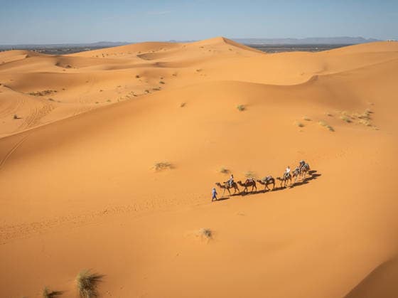 W2RC - RALLYE DU MAROC 2026 ambiance dromadaire, camel, during the Stage 3 of the Rallye du Maroc 2026, 4th round of the 2026 WR2C Championship from October 1, 2026 around Zagora, Morocco - AgadirMorocco  Copyright: xFREDERICxLExFLOCxHx