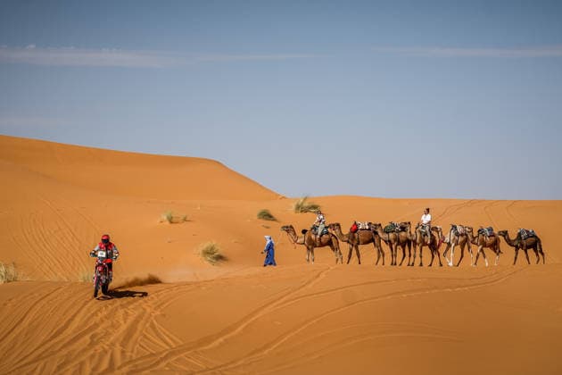W2RC - RALLYE DU MAROC 2026 66 THERIC Neels (fra), Kove Factory Racing, Kove 450 Rally, FIM W2RC, Rally 2, action, during the Stage 3 of the Rallye du Maroc 2026, 4th round of the 2026 WR2C Championship from October 1, 2026 around Zagora, Morocco - AgadirMorocco  Copyright: xFREDERICxLExFLOCxHx