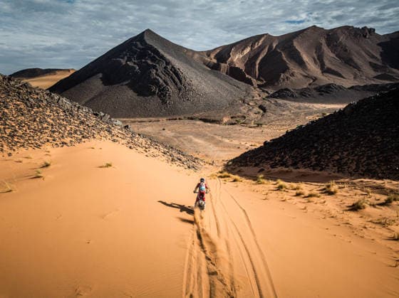 W2RC - RALLYE DU MAROC 2026 66 THERIC Neels (fra), Kove Factory Racing, Kove 450 Rally, FIM W2RC, Rally 2, action, during the Stage 4 of the Rallye du Maroc 2026, 4th round of the 2026 WR2C Championship from October 2, 2026 around Zagora, Morocco - AgadirMorocco  Copyright: xFREDERICxLExFLOCxHx