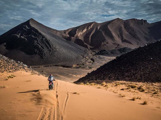 W2RC - RALLYE DU MAROC 2026 85 CAMPBELL Preston (usa), Monster Energy Honda HRC, Honda CRF 450, FIM W2RC, Rally 2, action, during the Stage 4 of the Rallye du Maroc 2026, 4th round of the 2026 WR2C Championship from October 2, 2026 around Zagora, Morocco - AgadirMorocco  Copyright: xFREDERICxLExFLOCxHx