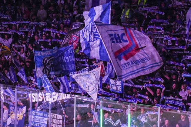 Straubing Tigers Fan Section, Men s Ice Hockey, German Ice Hockey League, Penny DEL, Matchday 5, 2026–2027 Season, on October 2, 2026, at the Eisstadion am Pulverturm, Straubing Tigers (blue) vs. Pinguins Bremerhaven (white)