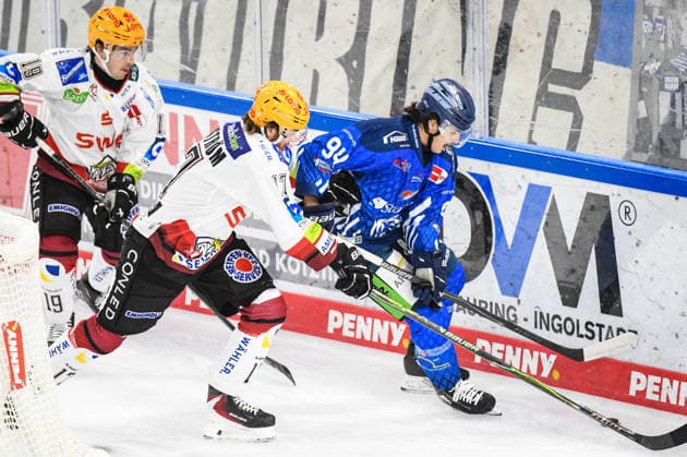 Jamieson Rees of the Straubing Tigers along the boards with the puck and Ludwig Bystroem of the Bremerhaven Pinguins, Men s Ice Hockey, German Ice Hockey League, Penny DEL, Matchday 5, 2026–2027 season on October 2, 2026, at the Eisstadion am Pulverturm, Straubing Tigers (blue) vs. Pinguins Bremerhaven (white)