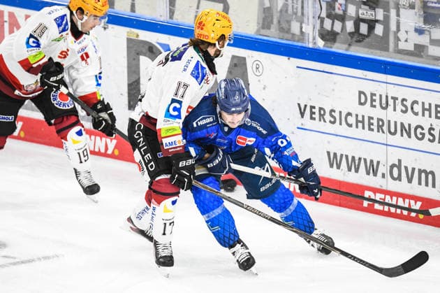 Jamieson Rees of the Straubing Tigers along the boards with the puck and Ludwig Bystroem of the Bremerhaven Pinguins, Men s Ice Hockey, German Ice Hockey League, Penny DEL, Matchday 5, 2026–2027 season on October 2, 2026, at the Eisstadion am Pulverturm, Straubing Tigers (blue) vs. Pinguins Bremerhaven (white)