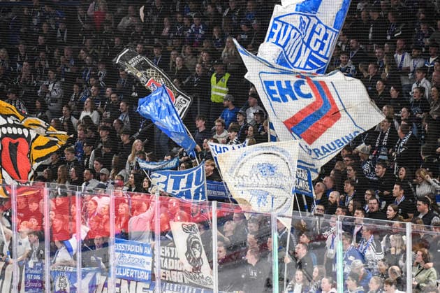 Straubing Tigers Fan Section, Men s Ice Hockey, German Ice Hockey League, Penny DEL, Matchday 5, 2026–2027 Season on October 2, 2026, at the Eisstadion am Pulverturm, Straubing Tigers (blue) vs. Pinguins Bremerhaven (white)