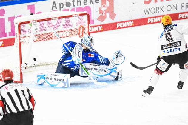 Florian Bugl s Straubing Tigers are defeated; Nino Kinder s Pinguins Bremerhaven win; Men s Ice Hockey, German Ice Hockey League, Penny DEL, Matchday 5, 2026–2027 season on October 2, 2026, at the Eisstadion am Pulverturm, Straubing Tigers (blue) vs. Pinguins Bremerhaven (white)