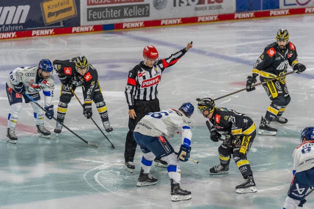 Faceoff, Max Newton, Krefeld Pinguine, 37, GER, Krefeld Pinguine vs. ERC Ingolstadt, Ice Hockey, PENNY DEL, Matchday 5, 2026–2027 Season, October 2, 2026, GER, Krefeld Pinguine vs. ERC Ingolstadt, Ice Hockey, PENNY DEL, Matchday 5, 2026–2027 Season, October 2, 2026, Krefeld Copyright: xEibner-Pressefoto FabianxFriesex EP_FFE