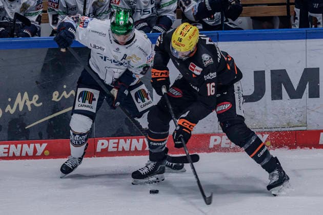 PENNY DEL Löwen Frankfurt vs. Eisbären Berlin, October 2, 2026: Frederik Tiffels (Eisbären Berlin, 95) and Konrad Abeltshauser (Löwen Frankfurt, 16) battle for the puck, Löwen Frankfurt vs. Eisbären Berlin, Frankfurt, NIX Ice Arena, October 2, 2026 Copyright: xBEAUTIFULxSPORTS Gawlikx