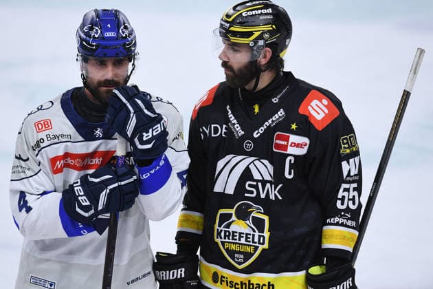 Ice Hockey: Penny DEL, Matchday 5—Krefeld Pinguine vs. ERC Ingolstadt on October 2, 2026, at the Yayla Arena in Krefeld. Morgan Ellis (Ingolstadt), on the left, Davis Vandane of Krefeld; on the right, In accordance with the regulations of the DEL (German Ice Hockey League), the publication and further use of the footage in electronic media and on devices of any kind during the game is not permitted. xRx