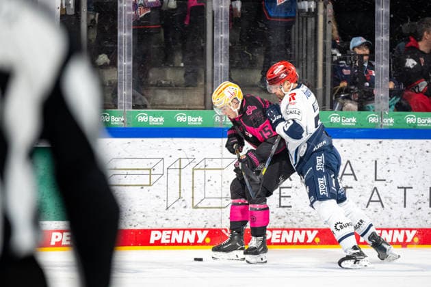 Nikolaus Heigl 15, Nuremberg Ice Tigers, NIT; Alex Trivellato 53, Schwenninger Wild Wings, SWW; Nuremberg Ice Tigers vs. Schwenninger Wild Wings, Ice Hockey, Penny DEL, Matchday 5, October 2, 2026, Nuremberg Ice Tigers vs. Schwenninger Wild Wings, Ice Hockey, Penny DEL, Matchday 5, October 2, 2026 Copyright: xEibner-Pressefoto ThomasxHahnx EP_NIT