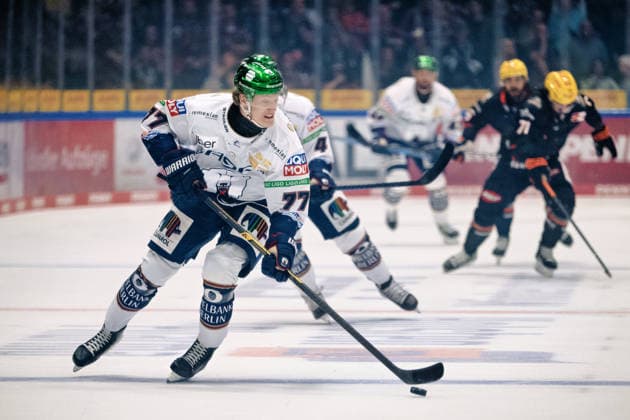 Eric Hoerdler, Eisbären Berlin, 77 GER, Löwen Frankfurt vs. Eisbären Berlin, Ice Hockey, PENNY DEL, Matchday 5, 2026–2027 Season, October 2, 2026 GER, Loewen Frankfurt vs. Eisbaeren Berlin, Ice Hockey, PENNY DEL, Matchday 5, 2026–2027 Season, October 2, 2026 Frankfurt am Main Copyright: xEibner-Pressefoto AttilaxZigax EP_AZA