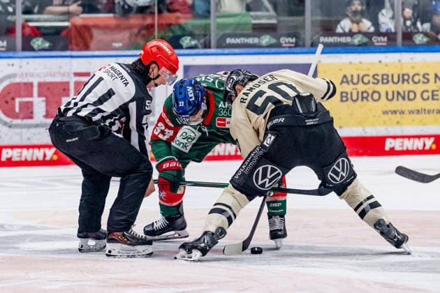 Linesman Marcus Hoefer officiates a faceoff between Tim Wohlgemuth of the Augsburger Panther, 33, and Julius Ramoser of the Grizzlys Wolfsburg, 50 (GER), Augsburger Panther vs. Grizzlys Wolfsburg, ice hockey, DEL, 2026–2027 season, Matchday 4, October 2, 2026. Photo: HMB Media, Heike Feiner Copyright: HMBxMedia HeikexFeiner