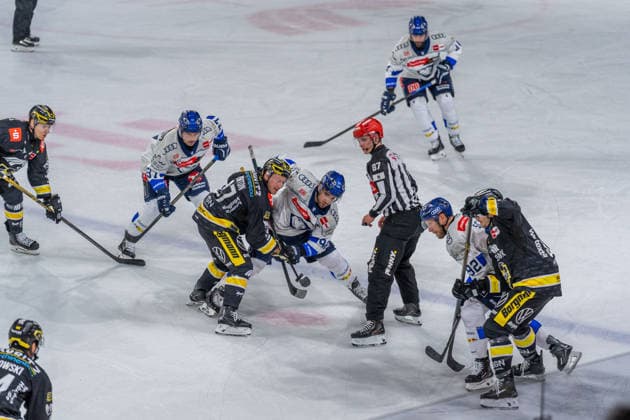 Faceoff between Krefeld and Ingolstadt, GER, Krefeld Pinguine vs. ERC Ingolstadt, ice hockey, PENNY DEL, Matchday 5, 2026–2027 season, October 2, 2026, GER, Krefeld Pinguine vs. ERC Ingolstadt, Ice Hockey, PENNY DEL, Matchday 5, 2026–2027 Season, October 2, 2026, Krefeld Copyright: xEibner-Pressefoto FabianxFriesex EP_FFE