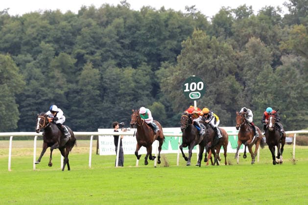 October 3, 2026, ISO GER DEU Equestrian Sports, German Unity Day, 2026, Hoppegarten Winner Thore Hammer Hansen on Snow Player nordphoto GmbH Engler Berlin Hoppegarten Berlin Germany Copyright: xNordphotox xEnglerx