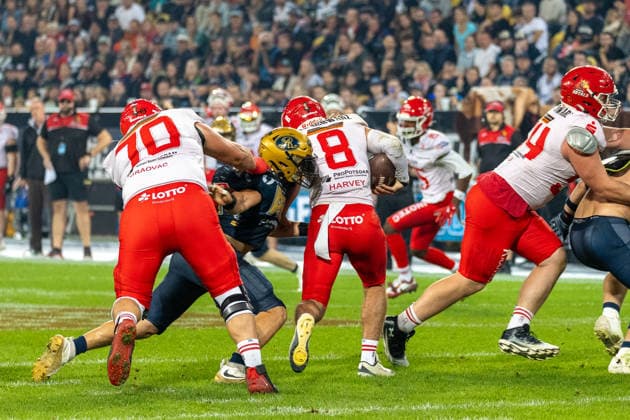 Hugh Harvey (Potsdam Royals, 08 Quarter Back) tackled by Elian Canet (Dresden Monarchs, 42 Defensive Line) Dresden Monarchs vs Potsdam Royals, American Football, German Football League, Week 22, Championship Game, 2026, 03.10.2026, Dresden Rudolf Harbig Stadion Saxony Germany Copyright: xPFA SebastianxJustx