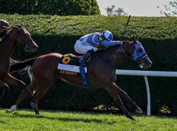 October 3, 2026, Lexington, Ky, USA: Joe Shiesty (6) ridden by Fernando De La Cruz wins the Woodford Stakes presented by Fanduel (Grade 2) on Coolmore Turf Mile Day at Keeneland in Lexington, Kentucky on October 3, 2026. Eclipse Sportswire CSM Lexington USA - ZUMAcs17 20261003_faf_cs17_015 Copyright: xCaseyxLaughterx
