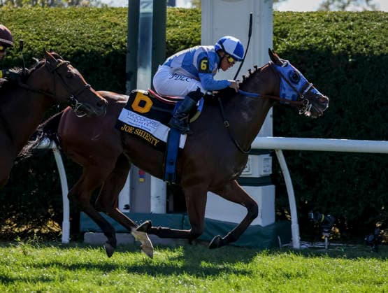 October 3, 2026, Lexington, Ky, USA: Joe Shiesty (6) ridden by Fernando De La Cruz wins the Woodford Stakes presented by Fanduel (Grade 2) on Coolmore Turf Mile Day at Keeneland in Lexington, Kentucky on October 3, 2026. Eclipse Sportswire CSM Lexington USA - ZUMAcs17 20261003_faf_cs17_018 Copyright: xCaseyxLaughterx
