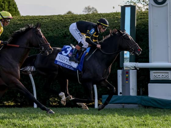 HORSE RACING 2026: Coolmore Turf Mile WAYI Keeneland OCT 03 October 3, 2026, Lexington, Ky, USA: Rhetorical (3) ridden by Irad Ortiz, Jr. wins the Coolmore Turf Mile Stakes (Grade 1) at Keeneland in Lexington, Kentucky on October 3, 2026. Casey Laughter Eclipse Sportswire CSM(Credit Image: Â Casey Laughter Cal Media) Lexington Ky USA EDITORIAL USE ONLY Copyright: xx ZUMA-20261003_faf_cs17_129.jpg CaseyxLaughterx csmphotothree529186