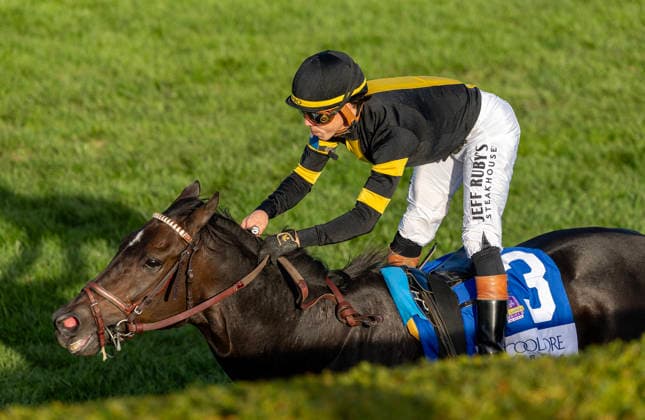 HORSE RACING 2026: Coolmore Turf Mile WAYI Keeneland OCT 03 October 3, 2026, Lexington, Ky, USA: Rhetorical (3) ridden by Irad Ortiz Jr. wins the Coolmore Turf Mile on October 3, 2026. Candice Chavez Eclipse Sportswire CSM(Credit Image: Â {Serial Cal Media) Lexington Ky USA EDITORIAL USE ONLY Copyright: xx ZUMA-20261003_faf_cs17_140.jpg {Serialx csmphotothree529193