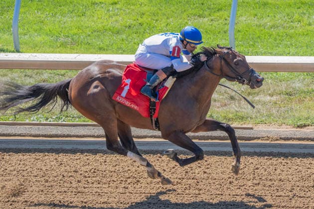 October 3, 2026, Lexington, Kentucky, USA: Chancery (1) ridden by Axel Concepcion wins an allowance on Coolmore Turf Mile Day on October 3, 2026. Jessica Morgan Eclipse Sportswire CSM Lexington USA - ZUMAcs17 20261003_faf_cs17_167 Copyright: x01354200x