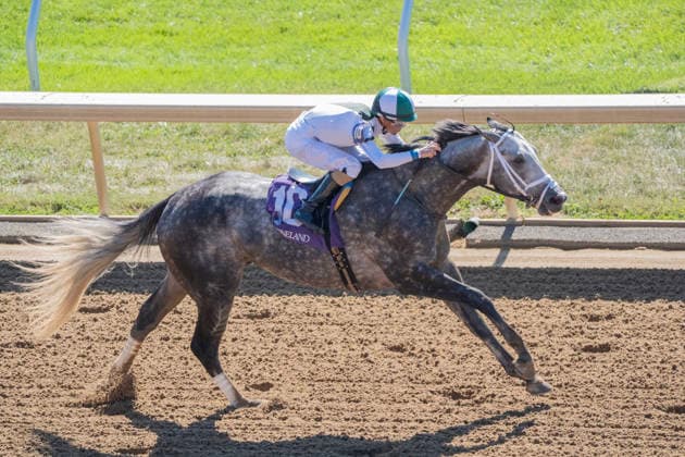 HORSE RACING 2026: Coolmore Turf Mile Day Keeneland OCT 03 October 3, 2026, Lexington, Kentucky, USA: Who Dey (10) ridden by Brian Hernandez Jr. wins an allowance on Coolmore Turf Mile Day on October 3, 2026. Jessica Morgan Eclipse Sportswire CSM(Credit Image: Â Cal Media) Lexington Kentucky USA EDITORIAL USE ONLY Copyright: xx ZUMA-20261003_faf_cs17_186.jpg 01354200x csmphotothree529248