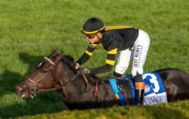 October 3, 2026, Lexington, Ky, USA: Rhetorical (3) ridden by Irad Ortiz Jr. wins the Coolmore Turf Mile on October 3, 2026. Candice Chavez Eclipse Sportswire CSM Lexington USA - ZUMAcs17 20261003_faf_cs17_127 Copyright: x {Serialx